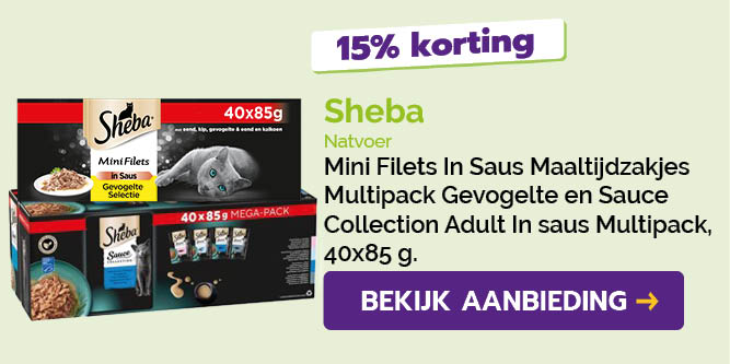 Dagaanbieding