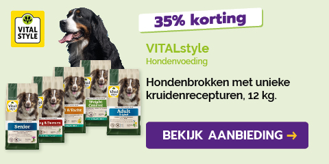 Dagaanbieding