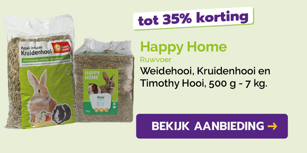 Dagaanbieding