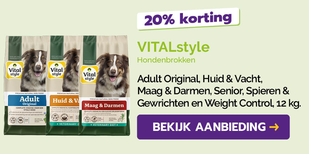 Dagaanbieding