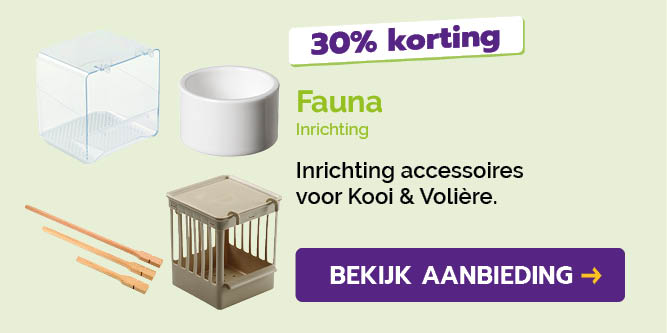 Dagaanbieding