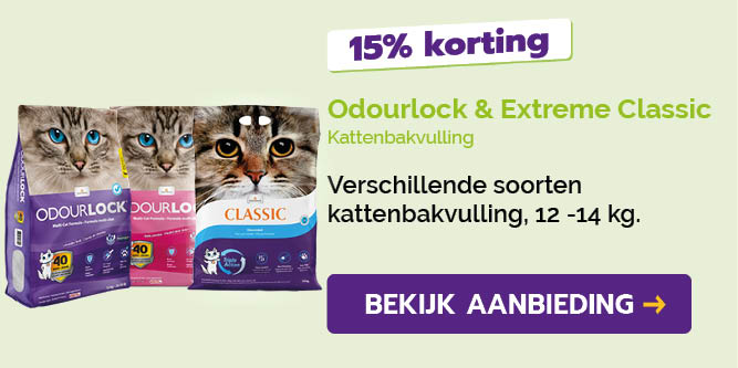 Dagaanbieding