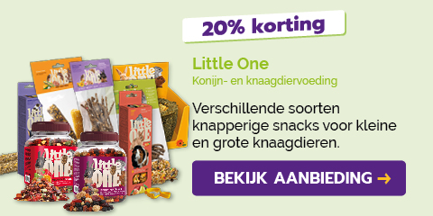 Dagaanbieding