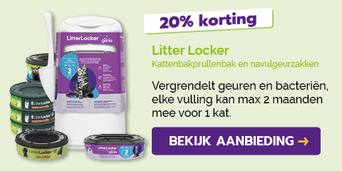 Dagaanbieding