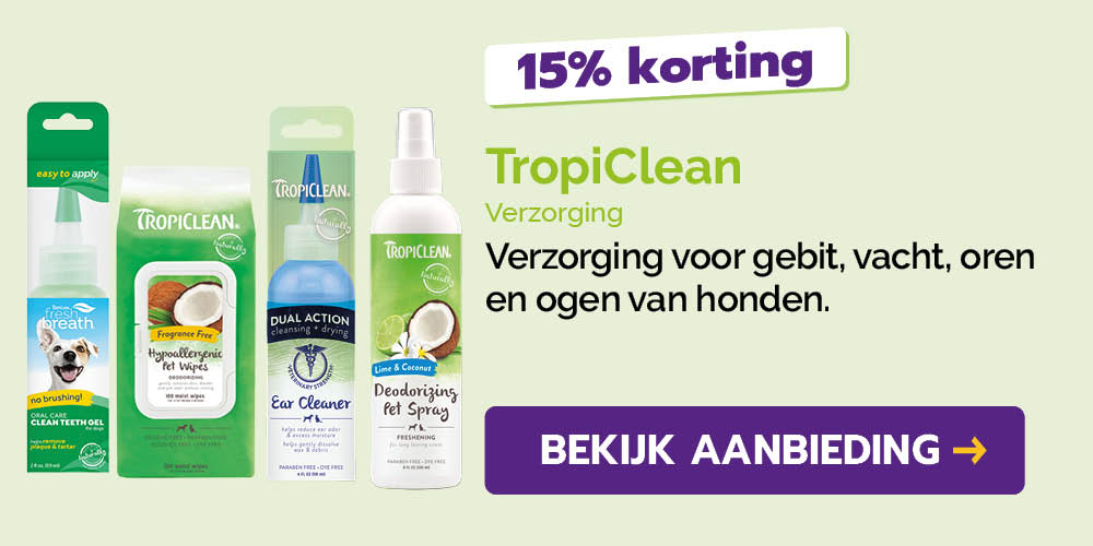 Dagaanbieding