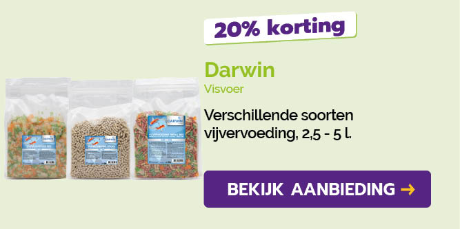 Dagaanbieding