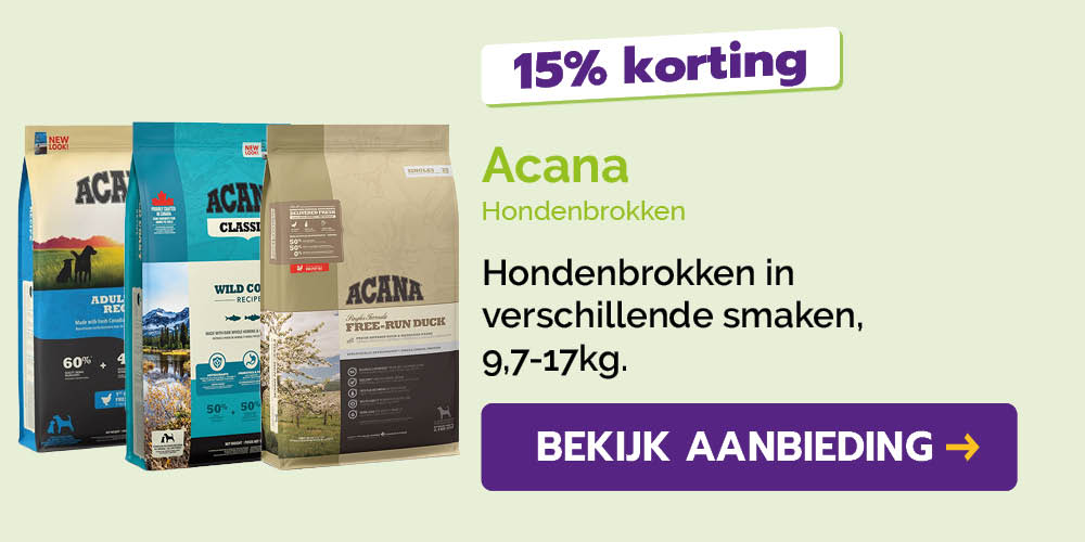 Dagaanbieding