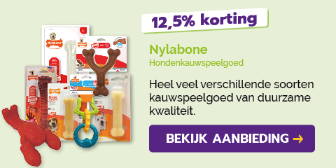 Dagaanbieding