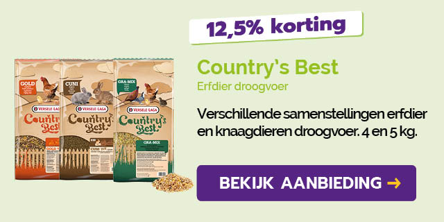 Dagaanbieding