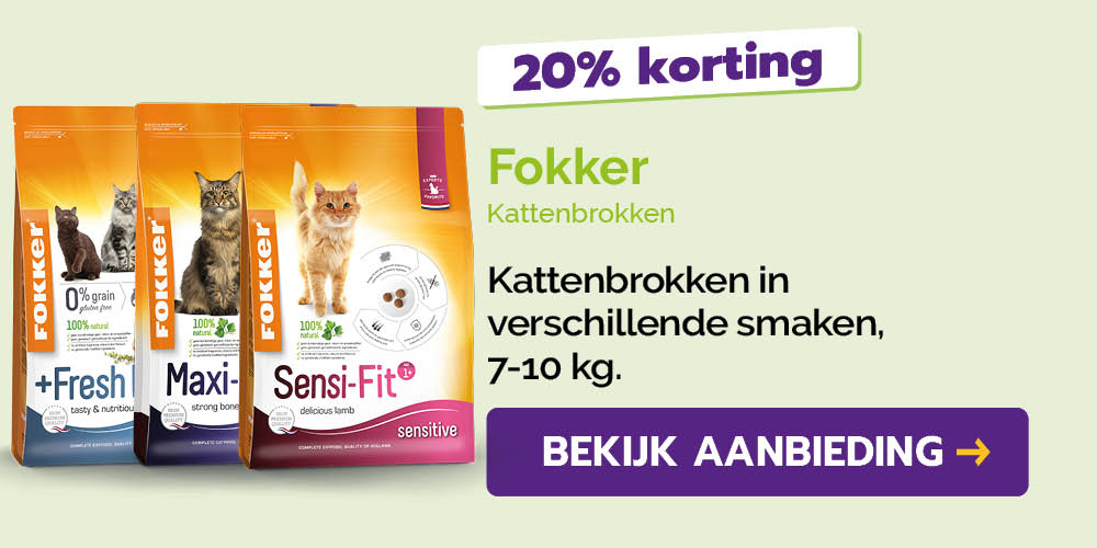 Dagaanbieding