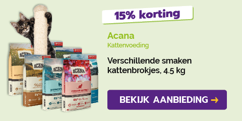 Dagaanbieding