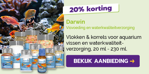 Dagaanbieding