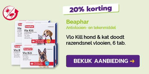 Dagaanbieding