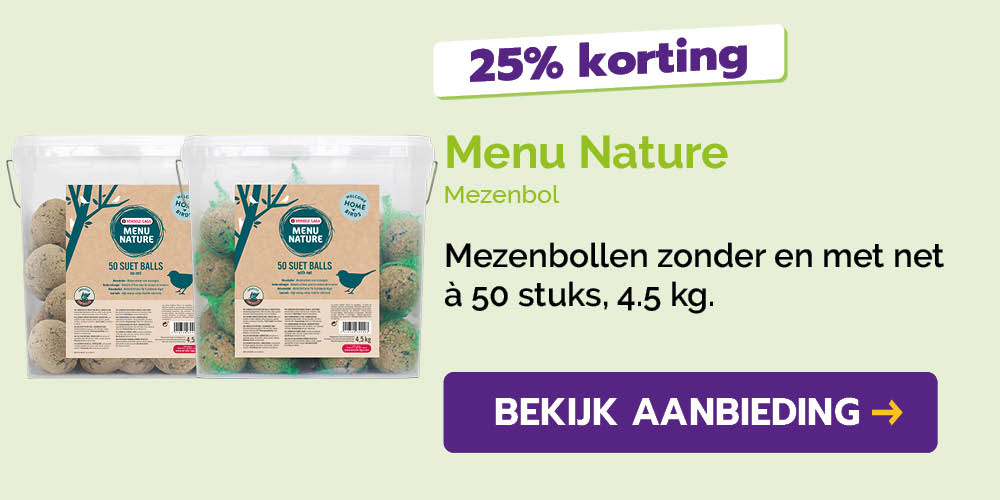Dagaanbieding