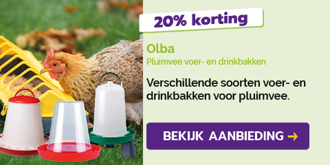 Dagaanbieding