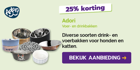 Dagaanbieding