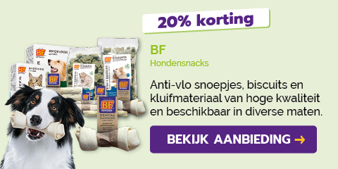 Dagaanbieding