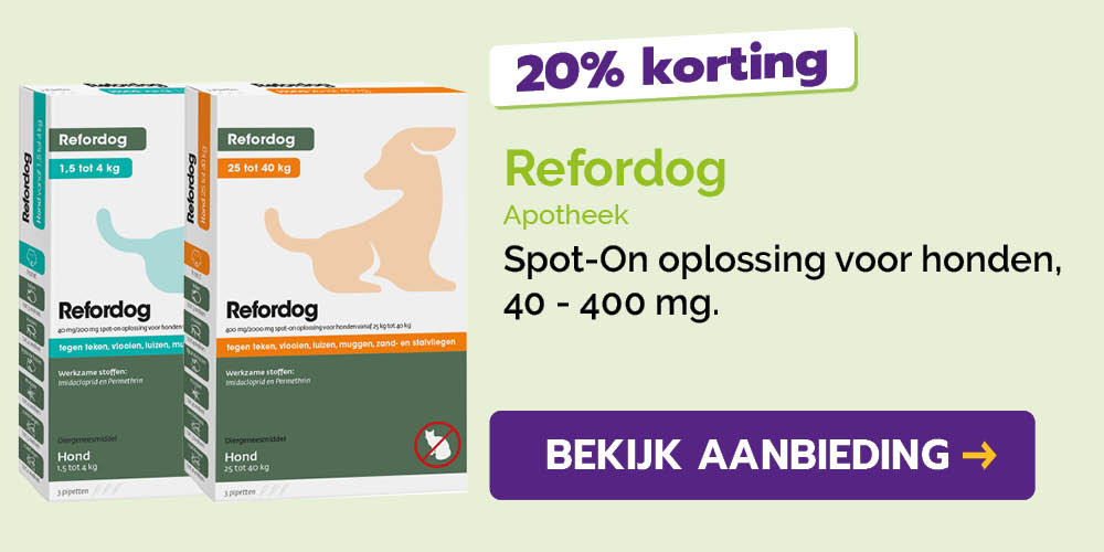 Dagaanbieding