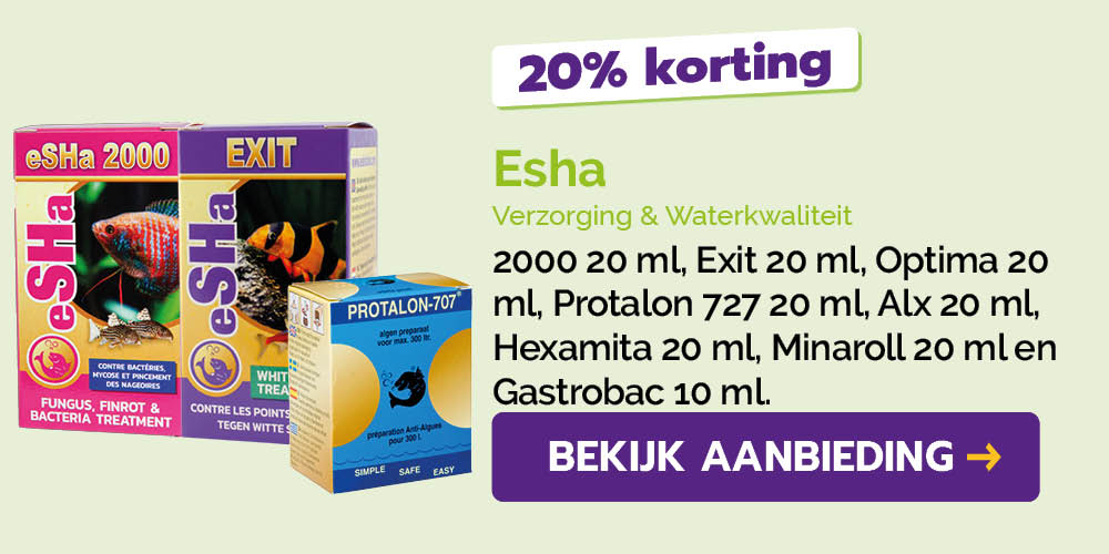 Dagaanbieding