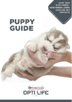 Folder Puppy Gids Nederlands