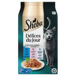 Delices du Jour in Gelei maaltijdzakjes 6x50 g Vis