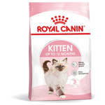 Kitten 4 kg