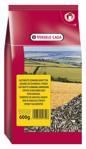 Gestreepte zonnebloempitten 600 g