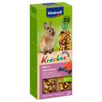 Konijn kracker bosbessen 2 stuks Bosbessen