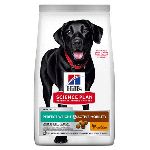 Canine Adult Perfect Weight & Active Mobility Large Breed 12