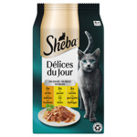 Delices du Jour in Gelei maaltijdzakjes 6x50 g Gevogelte