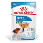 Mini Natvoer 12x85 g