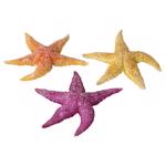 Decor zeester Assorti 17x15x2,5 cm