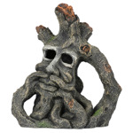Jacob root 25x13x28 cm