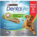 Daily oral care 426 g Large