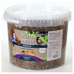 Meelwormen emmer 1 kg