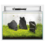 Scaper 60 60 l Transparant