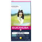 Adult Large Grain Free 12 kg Kip