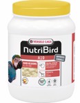 A19 papegaai 800 g