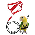 vogelharnas XXS Assorti  XXS  5x1x185 cm