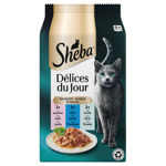 Delices du Jour in Saus maaltijdzakjes 6x50 g Vis