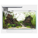 Quadro 40 multi colour Wit