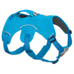 Web Master Harness Blauw  L/XL