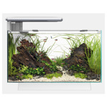 Quadro 40 pro Wit  45x25x35,7 cm