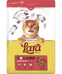 Adult 1.9 kg Lam