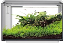 Home Proled 85 Aquarium Wit