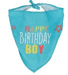 Party bandana blauw S Blauw 55x18x1 cm