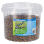 Black soldier fly in emmer 650 g