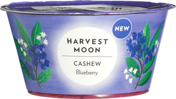 Plantaardige variatie op yoghurt cashew - blauwe bes