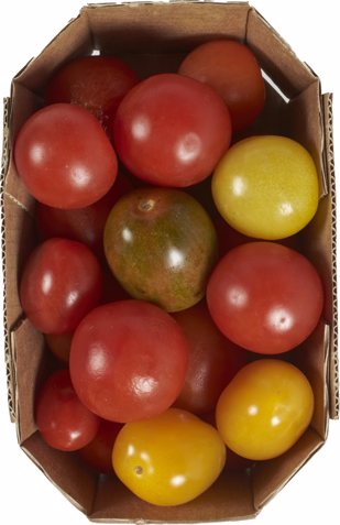Wild Wonders tomaatjes