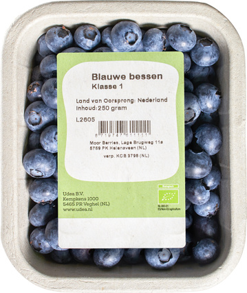 Blauwe bessen